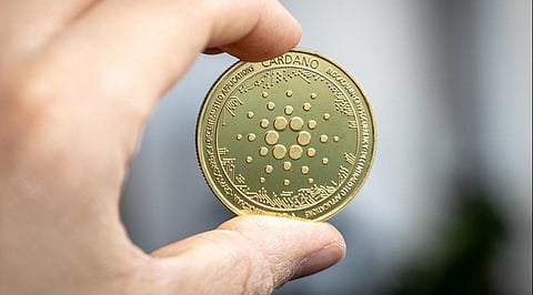Quilvius on its Path to be as Valuable as Cardano with its Aim to Revolutionize Digital Culture