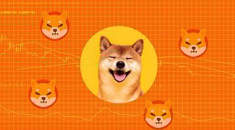 Shiba Inu, Aave and Big Eyes Coin – Leading Cryptocurrencies That Have the Best Communities