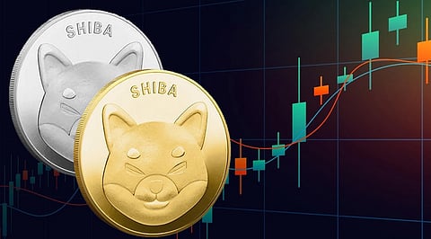 Shiba Inu, BNB And Adirize Dao – Three Cryptocurrencies To Buy In 2022!