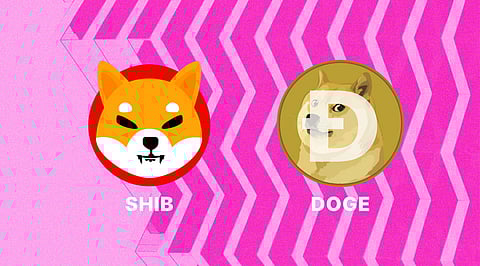 Dogecoin And Shiba Inu Gains Some Stability But Still Retains A Bearish Outlook