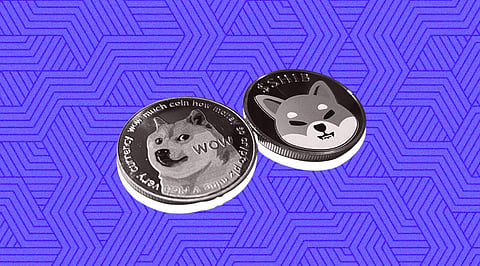 Dogecoin and Shiba Inu Pumps but Still Couldn’t Match Up Bitgert (BRISE) Performance