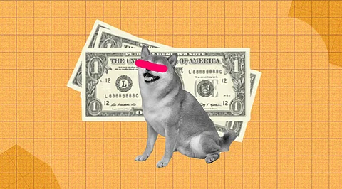 Shiba Inu is Proving to be more than Memecoin! Can this lead to US$1