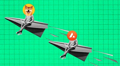 Will Bitgert (BRISE) Make It To Top 100 Coins? Why Dogecoin and Shiba Inu Are Concerned