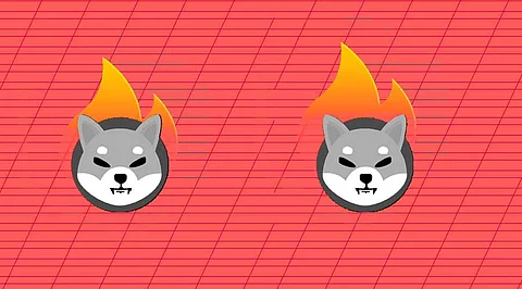 Shiba Inu spells Big Numbers! Not in Profit but in Token Burning