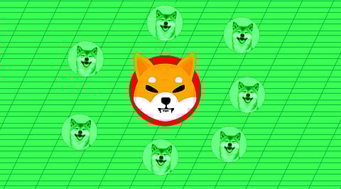 Shiba Inu to Go on an 85% Price Rally, But Only If this is Executed