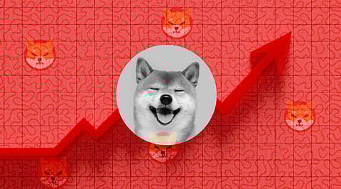 Shiba Inu to go up by 100% says, Experts! Another Rally of False Hopes?