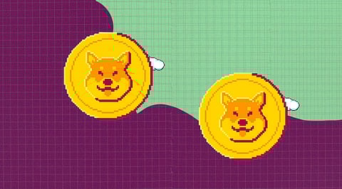 Shiba Inu on fire, another price rally around the corner?