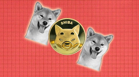 Want Shiba Inu growth? Try EverGrow