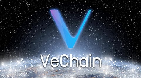What Are Top 3 DeFi Cryptocurrency To Buy Now – Solana, Cardano, and Vertochain?