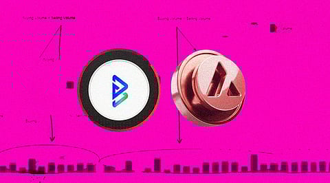 Why Bitgert (BRISE), Baby Doge, And Avalanche (AVAX) Are Gearing Up For A Bull Run