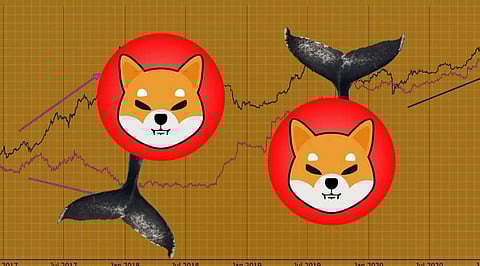 Will Shiba Inu Lose Its Position if Whales Start Selling Them?