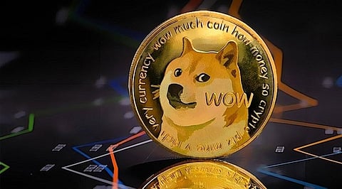 Will Dogecoin Reach $1? It might not, but Meme coins like TAMA Might