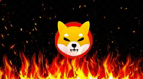 Excited by burning Shiba Inu? Here’s why you’ll love EverGrow