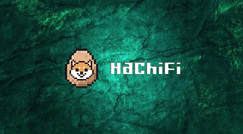 Will HachiFi Follow in the Footsteps of Bitcoin And Dominate the Crypto Space?