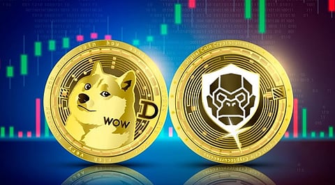 Are Dogecoin (DOGE) and RoboApe (RBA) the Crypto Future?