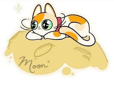 Bear Market Continues – Earn More With Presale Projects Like Big Eyes Coin vs Bitcoin & Ethereum