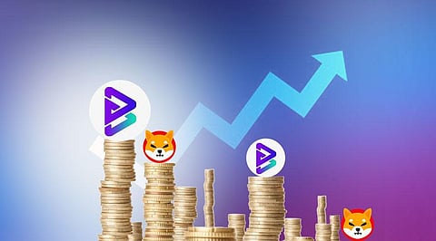 Why Bitgert (BRISE), Shiba Inu (SHIB) & Dogecoin (DOGE) Tops Investors’ Watch List