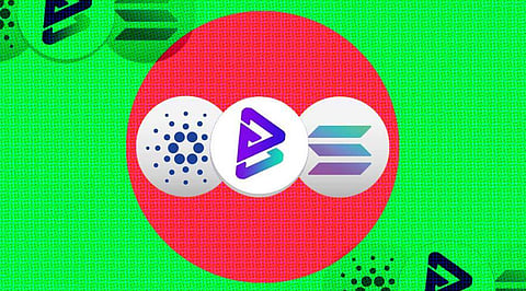 Analysts Share Bitgert Facts Making It More Profitable Than Solana and Cardano