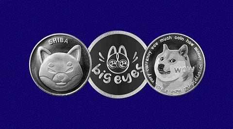 Big Eyes Coin Could Be the New Dogecoin and Shiba Inu
