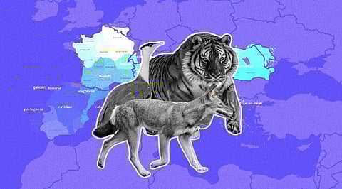 C is on the Verge of Extinction, Thanks to Emerging Modern Langs
