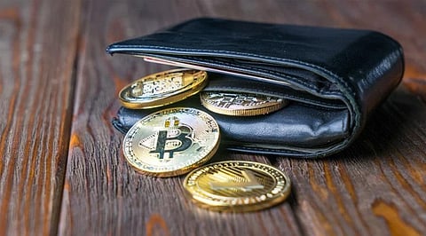 Cryptocurrency Wallet Guide: How to Store Your Money