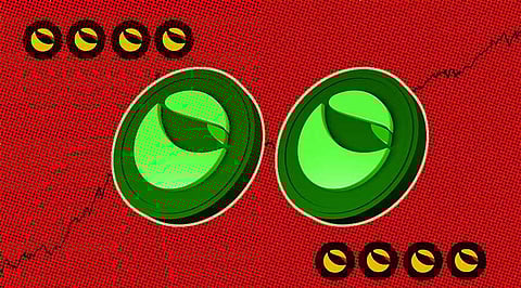 Did Terra Luna’s Temporary Price Rally make you Delusional?