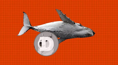 Dogecoin and Helium Whales are Jumping on Big Eyes & Here’s Why.