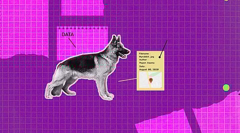 Everything You Need to Know About Metadata Enrichment