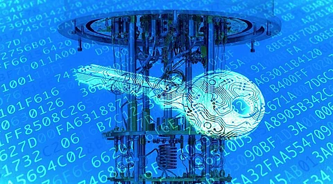 Everything you Need to Know about Quantum Resistant Algorithms