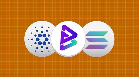 Facts About Bitgert (BRISE), Cardano (ADA), and Solana (SOL) You Should Know Today