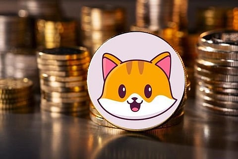 Can A $1000 Investment in Catecoin Make You a Millionaire?