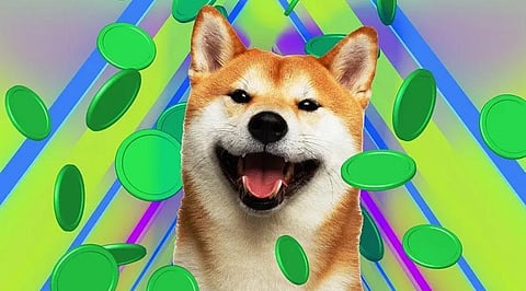 Is a New Launch Token About to Overtake Shiba Inu?