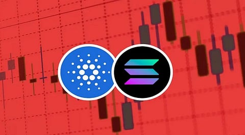 Metamortals, Cardano and Solana; Three Crypto Projects that Should Remain in Your Sights for the Rest of 2022