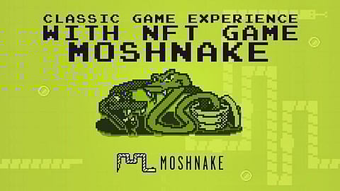 Is Moshnake The Next Big Cryptocurrency Since Solana and Avalanche?