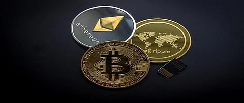 Moshnake, Bitcoin, and Litecoin Can Be Your Guiding Lighthouse During the Storm!