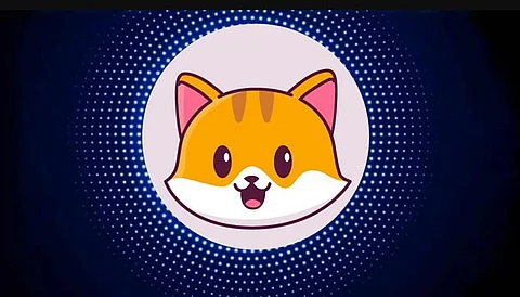 The Next Shiba Inu Coin is Catecoin? Read Why