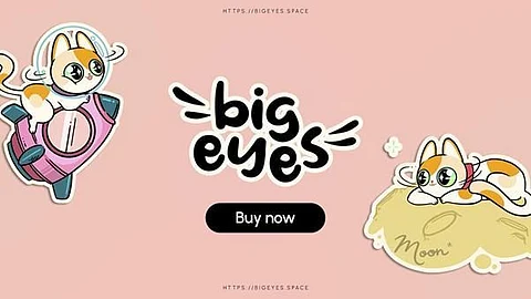 Big Eyes Coin: A DeFi-based Project That Also Focuses On Aquatic Animals Safety While Also Learning About Ethereum And Hedera