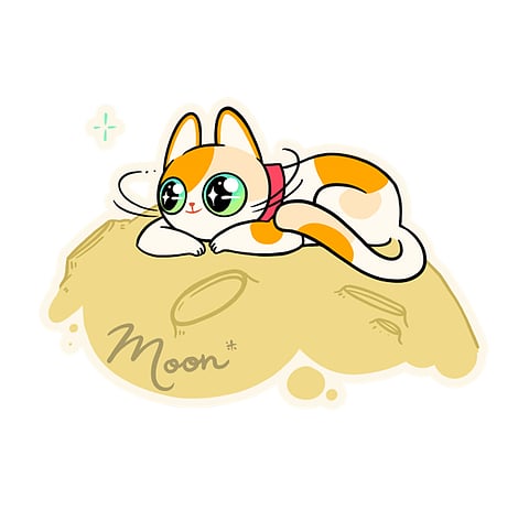 Gain Paw-ssible 10X profits with Big Eyes Coin, Algorand, and Ethereum.