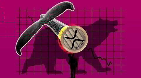 Ripple Stands Tall Amidst the Bear Trends, Thanks to Massive Whale Moment