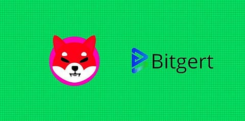 How Bitgert (BRISE) Has Proven To Be The Real Deal Against Dogecoin and Shiba Inu