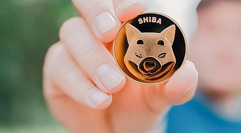 Shiba Inu Coin is bullish like never before – SHIB whales are on a spending spree!