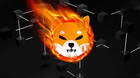Shiba Inu & Stellar are Being Compared with the Next Potential 100X Coin – Runfy