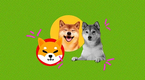 Shiba Inu to Become the Best Trading Option! But only if this Happens