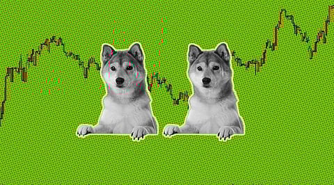 Shiba Inu to Reach US$0.000015 Before the end of September: Analysis