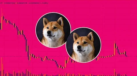 Shiba Inu Will Experience a 2800% Hike, Only in 2025 or Maybe 2030