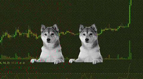Shiba Inu’s Massive Liquidation! 1.1 Trillion SHIB Disappears