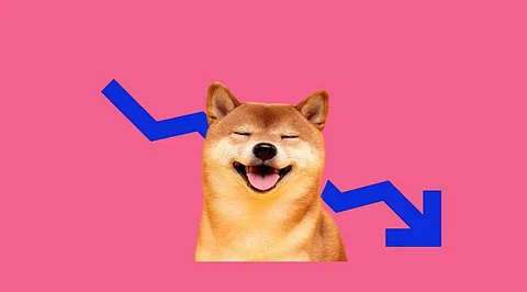 Shiba Inu’s Recent Short Price Rallies are Triggered by Social Media Influence