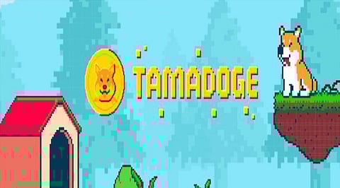 Tamadoge Might Have its Popularity Short-Lived by the Fast-Rising Big Eyes CoinCoin – Crypto News Flash