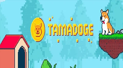 Tamadoge Smashes $10 Million in Presale – How to Buy Before Next Price Raise?