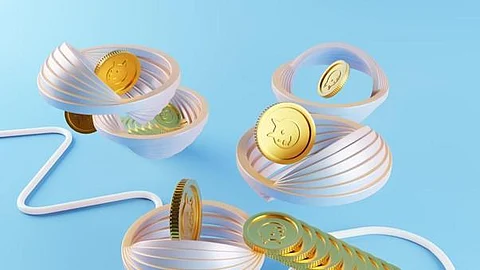 Rocketize Announces The Meme Crypto Outcry As It Joins Shiba Inu And Floki Inu In The Line Of Profit-Inspired Tokens